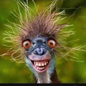 Meet your Posher, Tamera